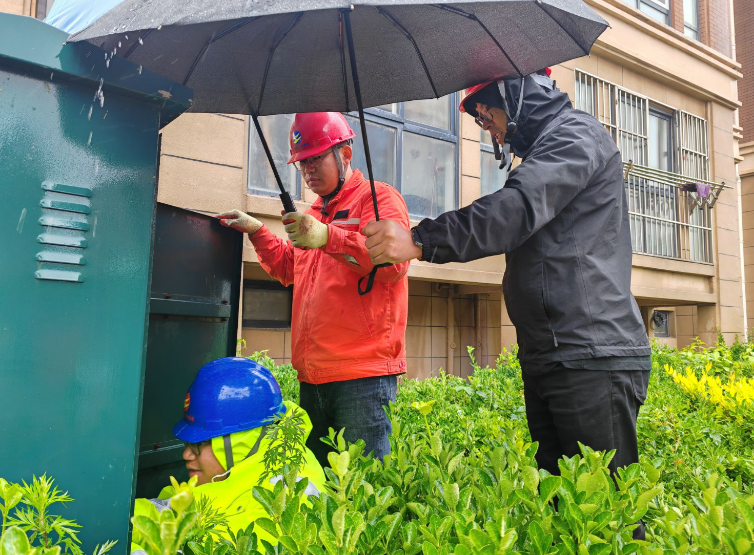 1748911994911 QQ_1748911978825