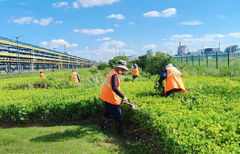 72b181c9c78c4253fe28edd31e33ddb0