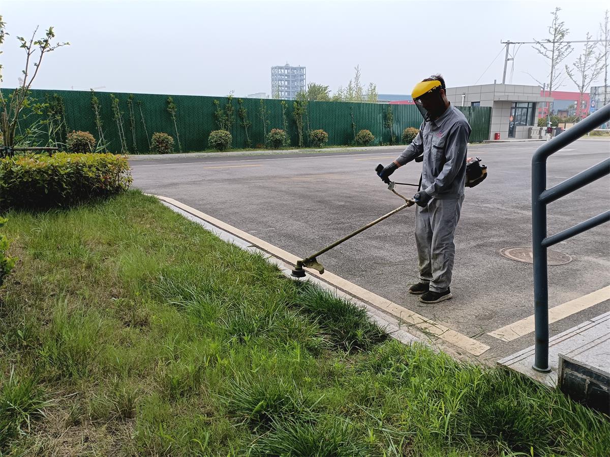 1690539429964049888.jpg IMG_20230629_112011.jpg